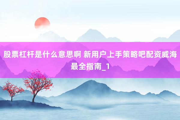 股票杠杆是什么意思啊 新用户上手策略吧配资威海最全指南_1