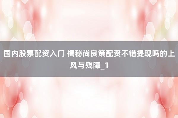 国内股票配资入门 揭秘尚良策配资不错提现吗的上风与残障_1