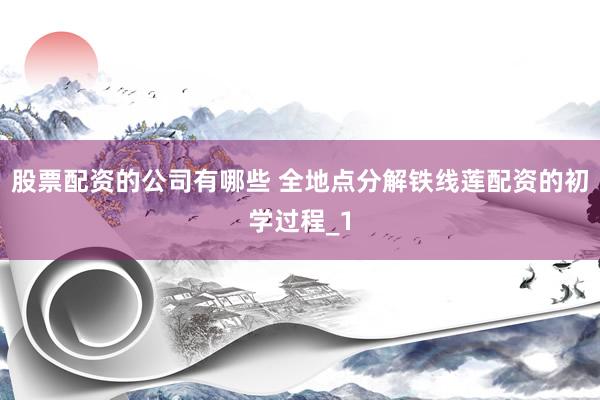 股票配资的公司有哪些 全地点分解铁线莲配资的初学过程_1