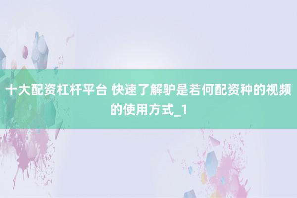 十大配资杠杆平台 快速了解驴是若何配资种的视频的使用方式_1