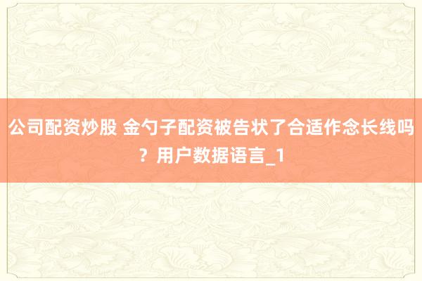 公司配资炒股 金勺子配资被告状了合适作念长线吗？用户数据语言_1