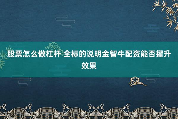 股票怎么做杠杆 全标的说明金智牛配资能否擢升效果
