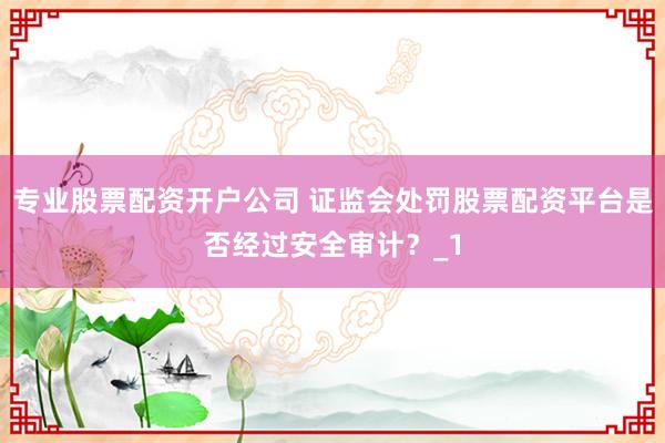 专业股票配资开户公司 证监会处罚股票配资平台是否经过安全审计？_1