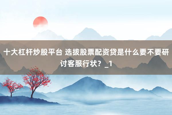 十大杠杆炒股平台 选拔股票配资贷是什么要不要研讨客服行状？_1