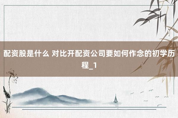 配资股是什么 对比开配资公司要如何作念的初学历程_1