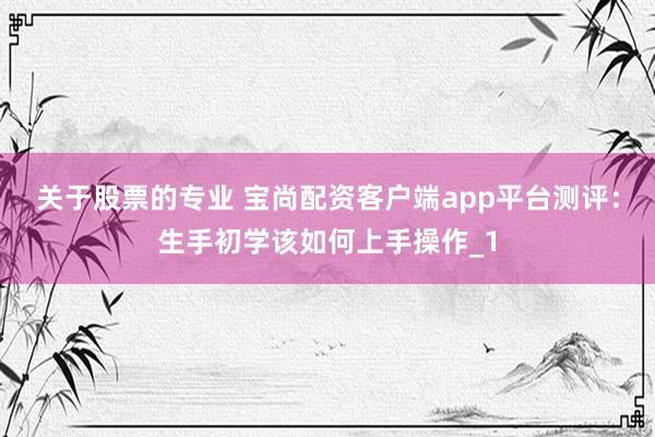 关于股票的专业 宝尚配资客户端app平台测评：生手初学该如何上手操作_1