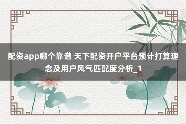 配资app哪个靠谱 天下配资开户平台预计打算理念及用户风气匹配度分析_1