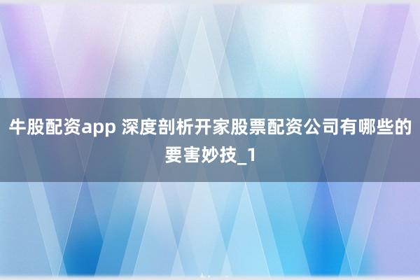 牛股配资app 深度剖析开家股票配资公司有哪些的要害妙技_1
