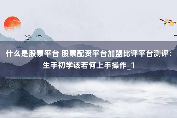 什么是股票平台 股票配资平台加盟比评平台测评：生手初学该若何上手操作_1