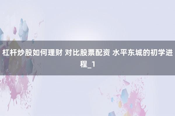 杠杆炒股如何理财 对比股票配资 水平东城的初学进程_1