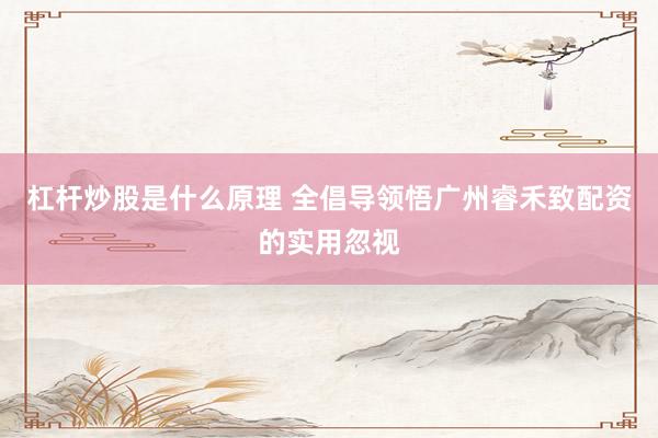 杠杆炒股是什么原理 全倡导领悟广州睿禾致配资的实用忽视