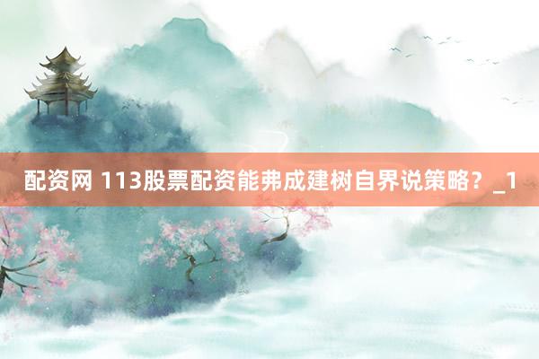 配资网 113股票配资能弗成建树自界说策略？_1