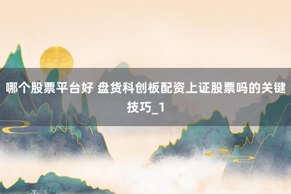 哪个股票平台好 盘货科创板配资上证股票吗的关键技巧_1