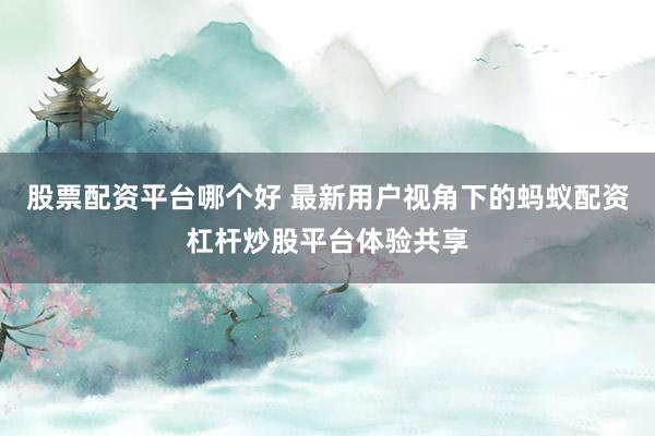 股票配资平台哪个好 最新用户视角下的蚂蚁配资杠杆炒股平台体验共享