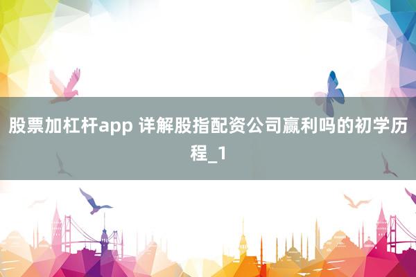 股票加杠杆app 详解股指配资公司赢利吗的初学历程_1