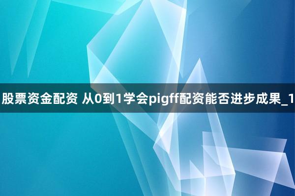 股票资金配资 从0到1学会pigff配资能否进步成果_1