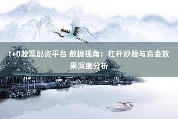 t+0股票配资平台 数据视角：杠杆炒股与资金效果深度分析