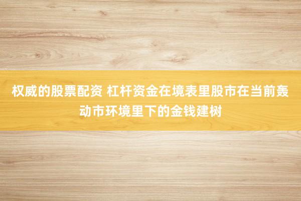 权威的股票配资 杠杆资金在境表里股市在当前轰动市环境里下的金钱建树